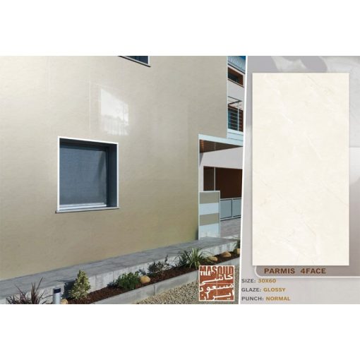 سرامیک دیوار طرح پارمیس2 30*60