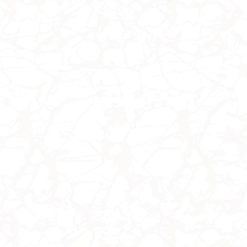 سرامیک کف طرح گل یخ سفید